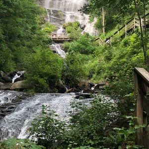 Meet your Posher, Carlyn